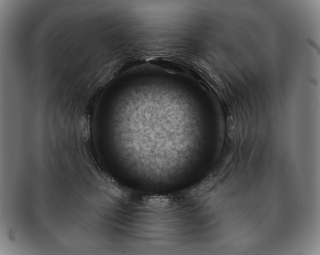 X0000091470471200708231342