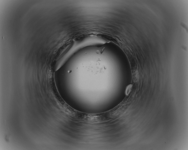 X0000091470472200708231342