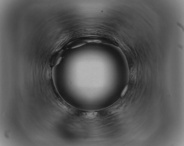 X0000091470474200708231342