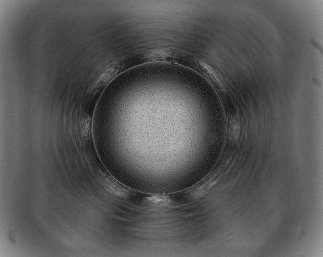 X0000091470477200708231342