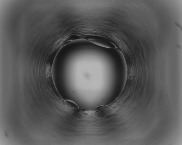 X0000091470478200708231342