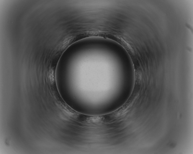 X0000091470479200708231342