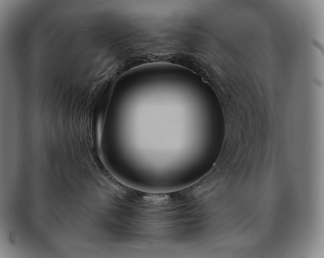 X0000091470480200708231342