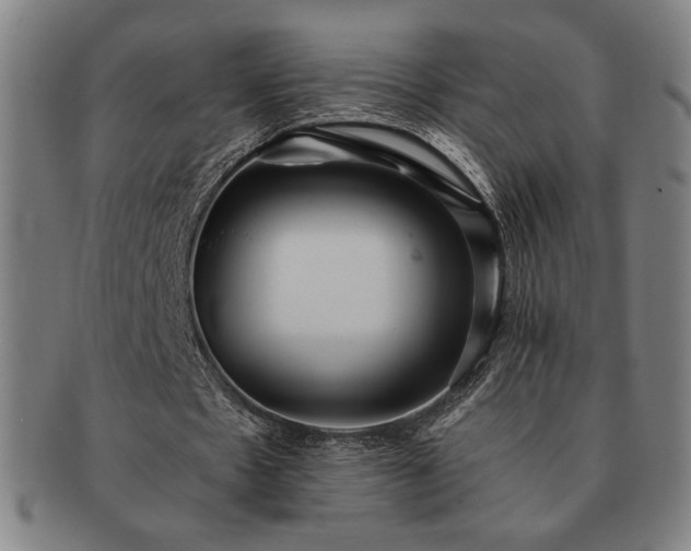 X0000091470481200708231341