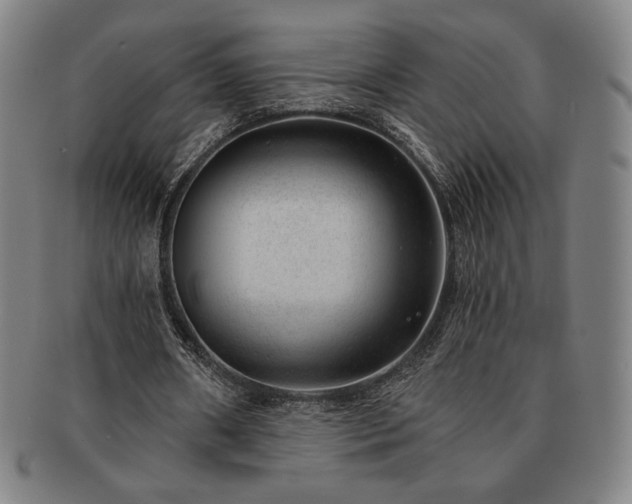 X0000091470482200708231341