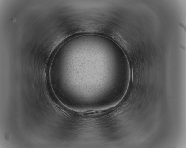 X0000091470483200708231341