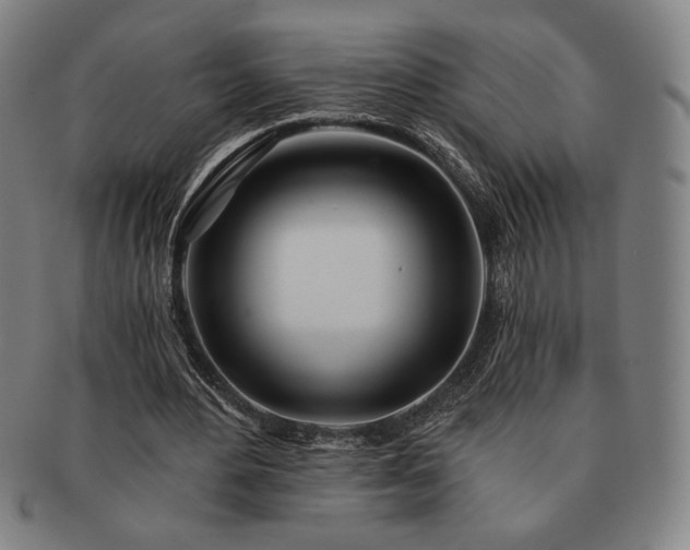 X0000091470484200708231341