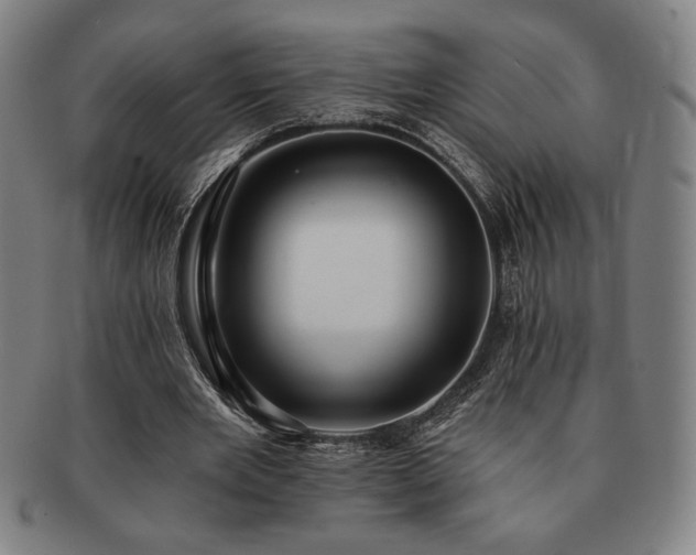 X0000091470485200708231341