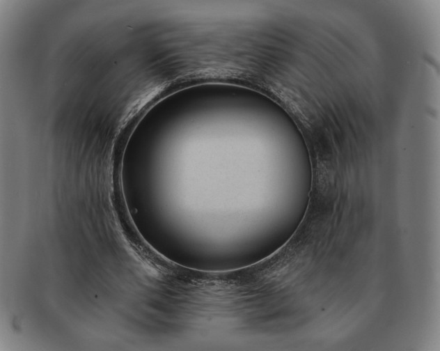 X0000091470486200708231341