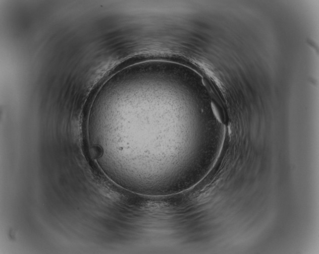 X0000091470487200708231341