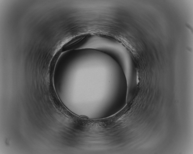 X0000091470488200708231341