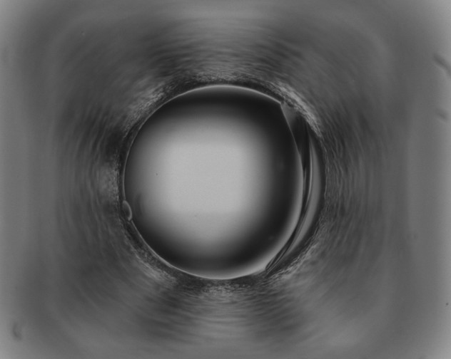 X0000091470489200708231341