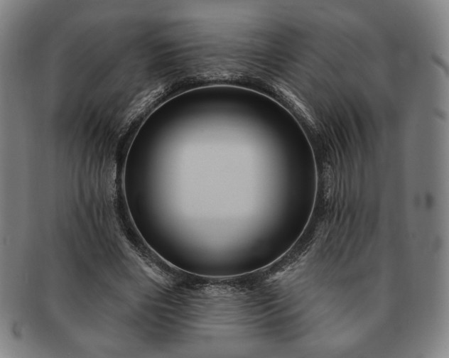 X0000091470490200708231341