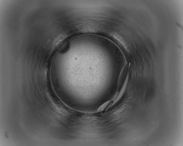 X0000091470491200708231341