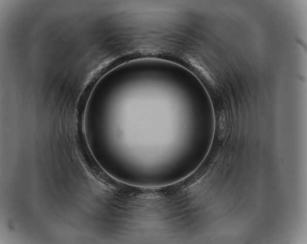 X0000091470492200708231341