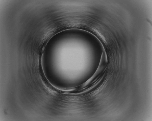 X0000091470493200708231341