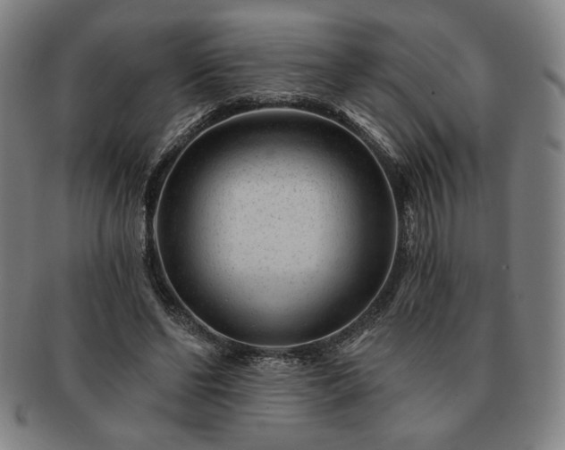 X0000091470494200708231341