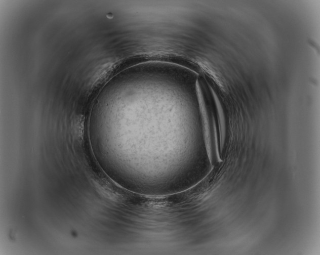 X0000091470495200708231341