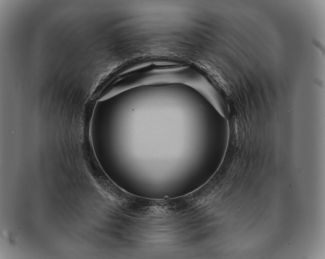 X0000091470496200708231341