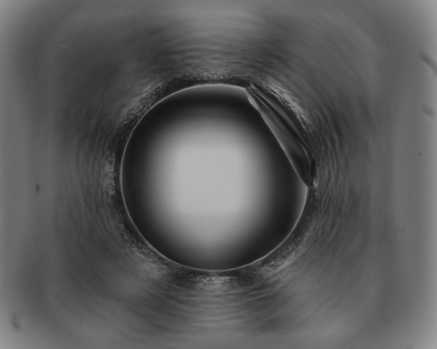 X0000091470497200708231341