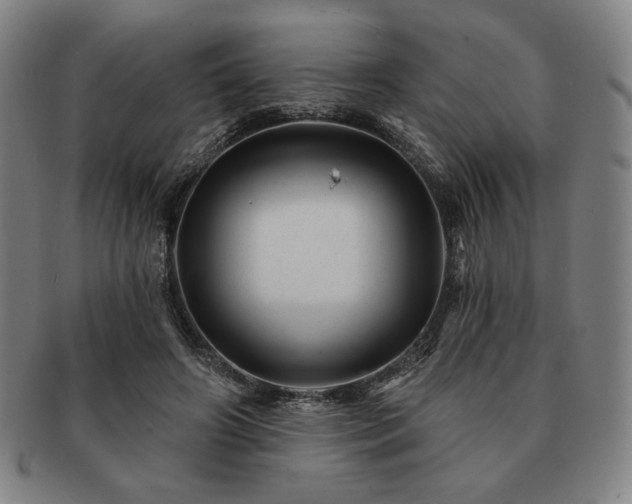 X0000091470498200708231341