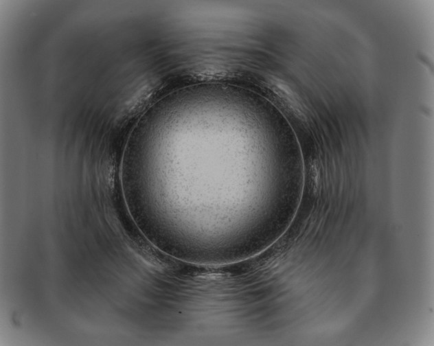 X0000091470499200708231341