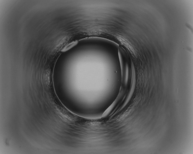 X0000091470501200708231341