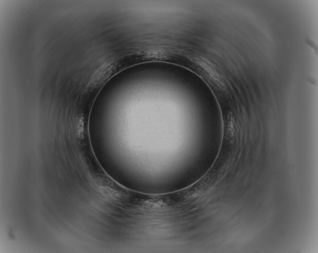 X0000091470502200708231341