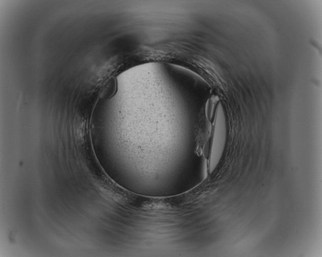 X0000091470503200708231341