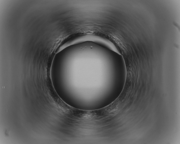 X0000091470504200708231341