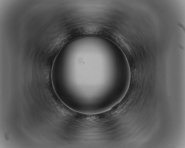 X0000091470505200708231341