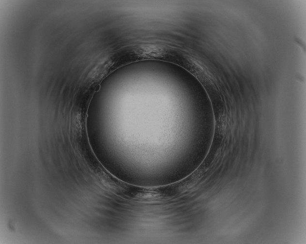 X0000091470506200708231341