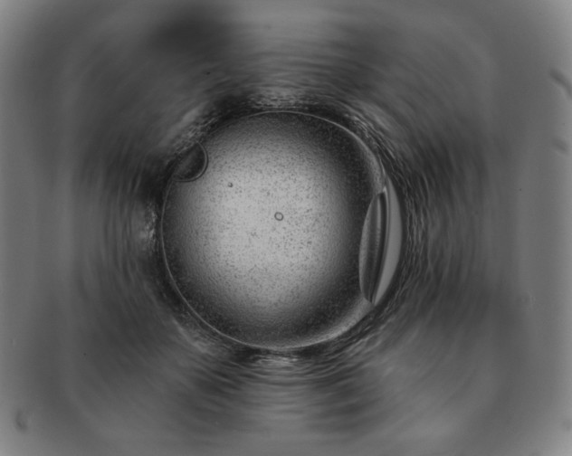 X0000091470507200708231341