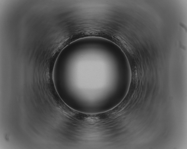 X0000091470508200708231341