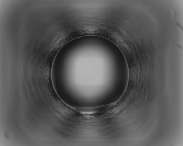 X0000091470509200708231341