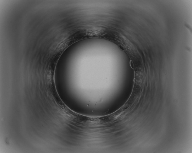 X0000091470510200708231341