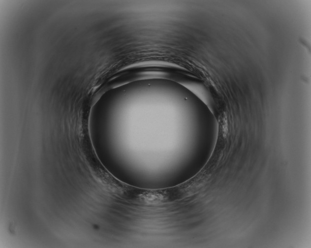 X0000091470512200708231341