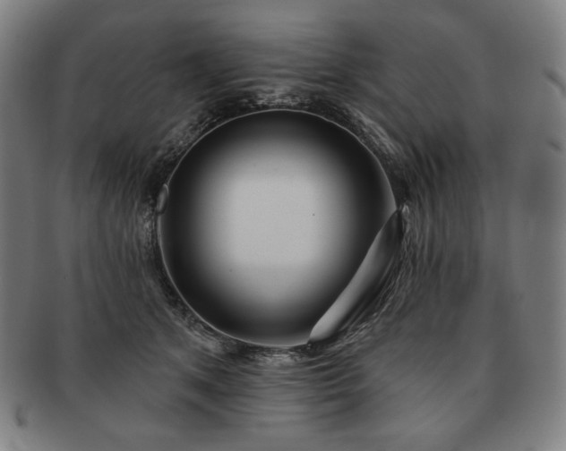 X0000091470513200708231341