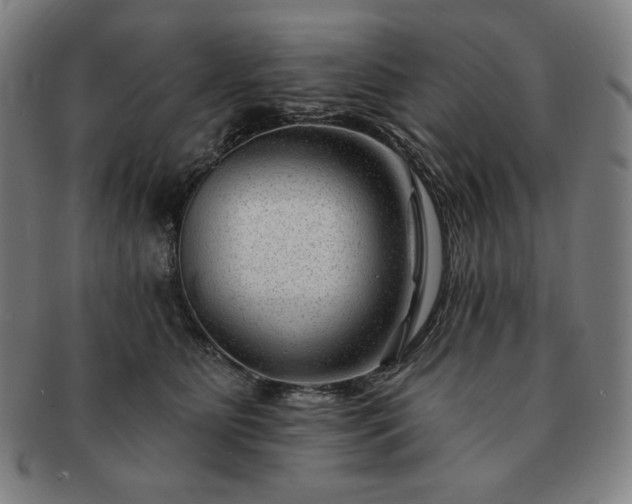 X0000091470515200708231341