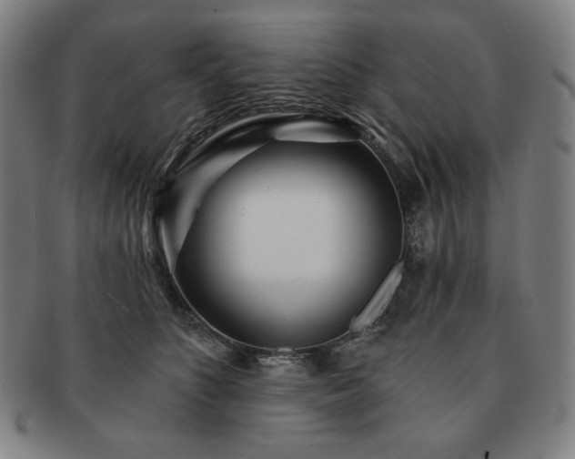 X0000091470516200708231341