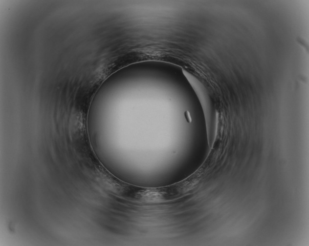 X0000091470518200708231341