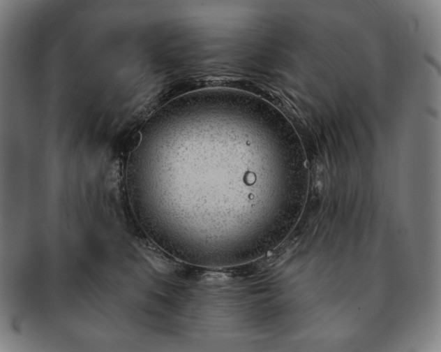 X0000091470519200708231341