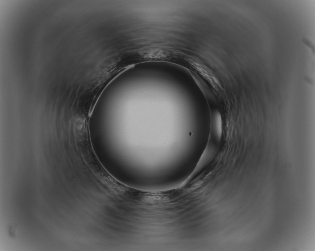 X0000091470521200708231341