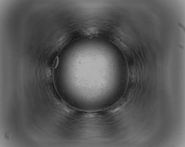 X0000091470523200708231341