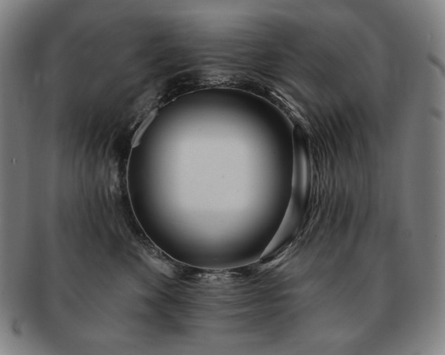 X0000091470524200708231341