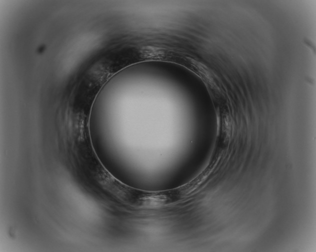 X0000091470525200708231341