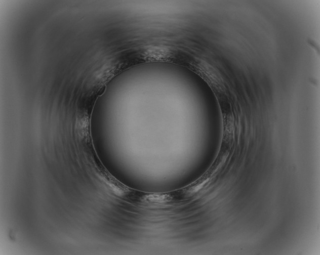 X0000091470526200708231341