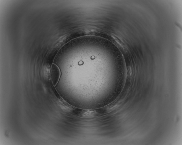 X0000091470527200708231341