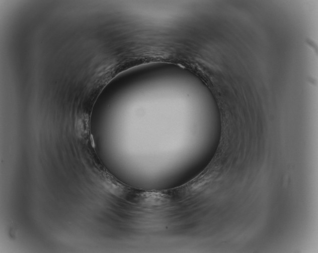 X0000091470528200708231341