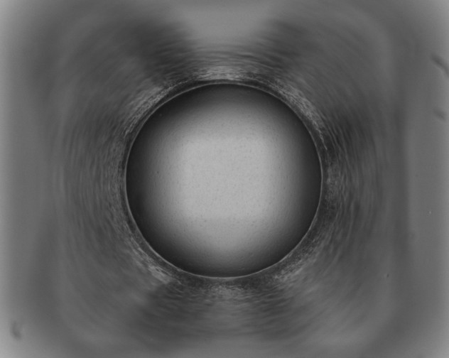 X0000091470529200708231340